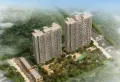 龙泉国际楼盘图8