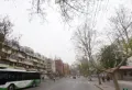 东城一号楼盘图14