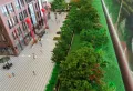 中央绿洲楼盘图8