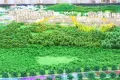新中铁城户型图16