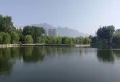 信合泰府楼盘图13