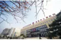 龙泉国际楼盘图13