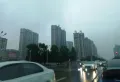 淮矿绿城·中湖明月楼盘图29