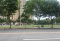 和德春锦楼盘图1