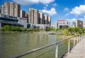 碧桂园红树湾楼盘图7
