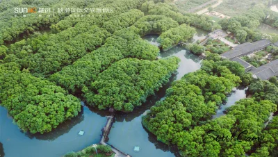 桃源森林国际旅游度假区房价8