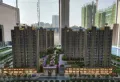 桃江上海佳苑楼盘图15