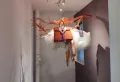 中洲南麓院楼盘图20
