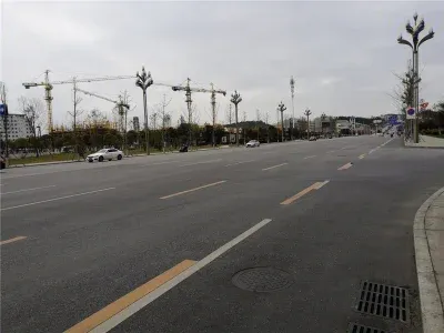 地王豪庭楼盘图