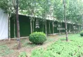 广饶碧桂园·凤鸣春秋楼盘图8