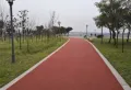 百伦江樾居楼盘图15