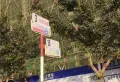 嘉利广场楼盘图2