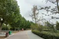 金秋华府户型图