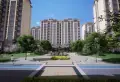 美林湾楼盘图17