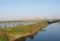 元泰迎宾园楼盘图28