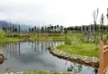 天润芙蓉楼盘图13