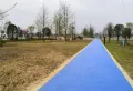 保利国际城中央花园楼盘图15
