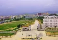 中鼎智慧森林城楼盘图8