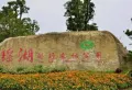 赣电东方城楼盘图14