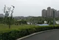 碧桂园中环壹号楼盘图24