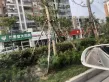 众安锦源府户型图20