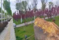 新天地润园楼盘图18