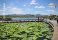鸿瑞西峰·溪悦府楼盘图42