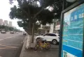 时代豪庭楼盘图6
