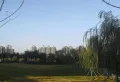 元泰迎宾园楼盘图10