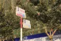 城北福第楼盘图2