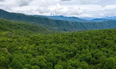 中国桌山森林康养国际旅游度假区房价9