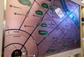 华景川万悦城三期楼盘图1