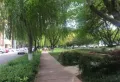 蓝花屿楼盘图7