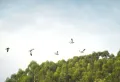 滨海山与墅楼盘图19