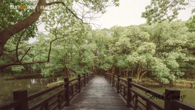 桃源森林国际旅游度假区房价13