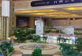 云星洲楼盘图4