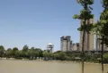 正通·万和城楼盘图12
