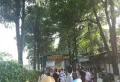 恒大林语墅楼盘图14