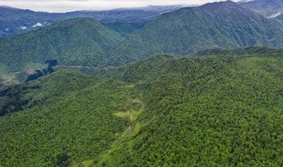 中国桌山森林康养国际旅游度假区房价7