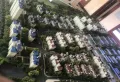 鸿威翡翠城楼盘图11