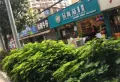 金湾步行街楼盘图6