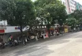 金湾步行街楼盘图35