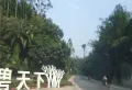 恒大金碧天下楼盘图4