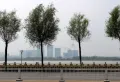 紫江花园楼盘图8