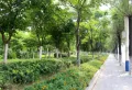 紫江花园楼盘图5