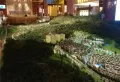 碧桂园清泉城楼盘图12