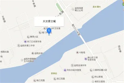 大汉·资江城楼盘图片2