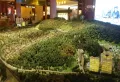 碧桂园清泉城楼盘图15