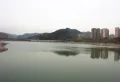绿地柏仕晶舍楼盘图164