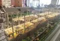 绿地明湖城楼盘图16